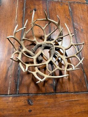 Antler Sculpture - Brown Rustic Home decor bowl centerpiece